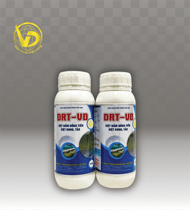 Tảo Lam, Tảo độc ao tôm, cách diệt tảo lam, tảo độc đúng cách nhất - ảnh 2