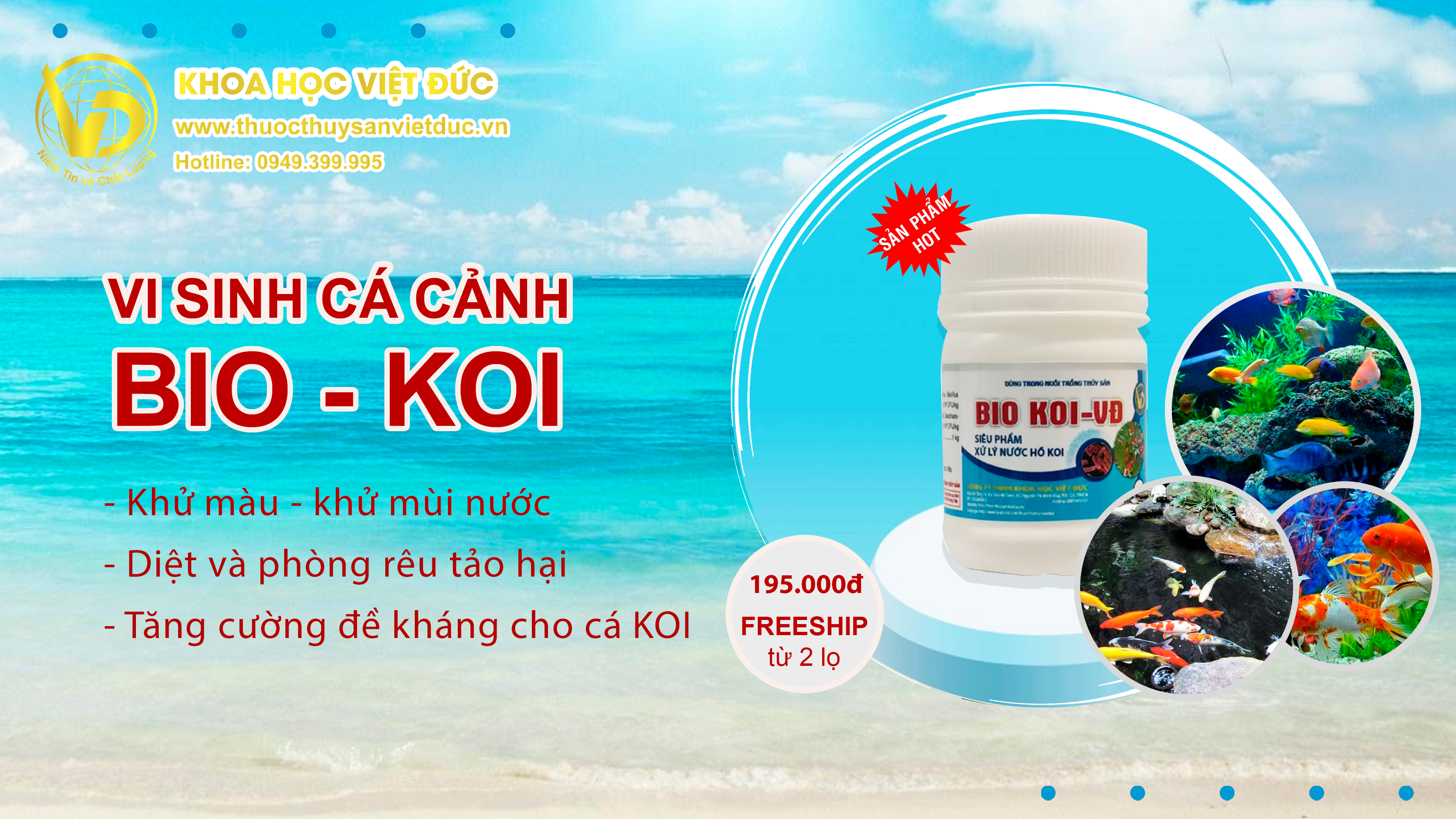 Vi sinh cho hồ cá KOI | vi sinh tốt nhất cho bể cá