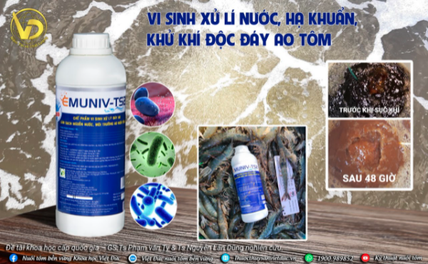 Vi sinh nuôi tôm emuniv TS2
