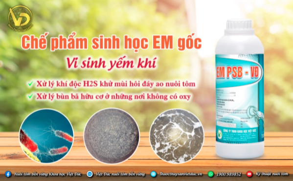 Chế phẩm sinh học
