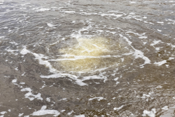 cÁCH KHỬ PHÈN AO NUÔI TÔM