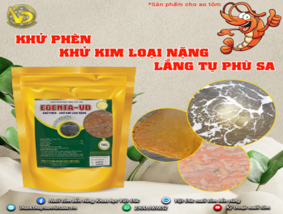 kHỬ PHÈN CHO AO NUÔI TÔM