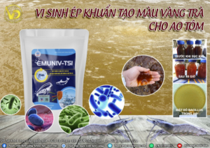 kHỬ PHÈN AO TÔM HIỆU QUẢ