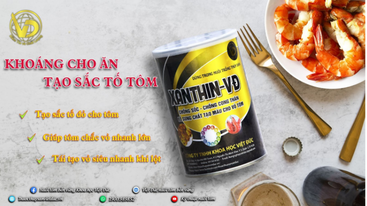 NHÓM KHOÁNG CHẤT