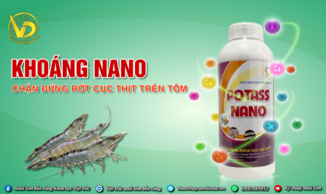 Khoáng nano cho tôm
