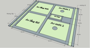 mô hình ao Nuôi tôm siêu thâm canh