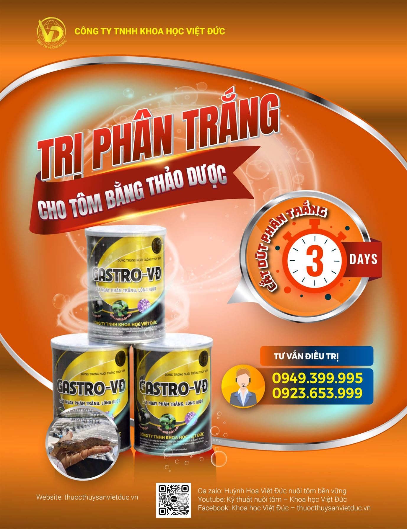 TRỊ PHÂN TRẮNG 72h