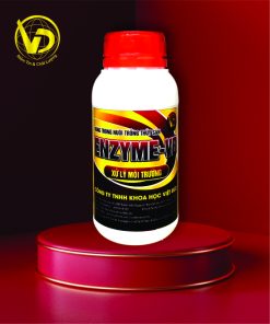 ENZYME - VĐ: Enzyme nước