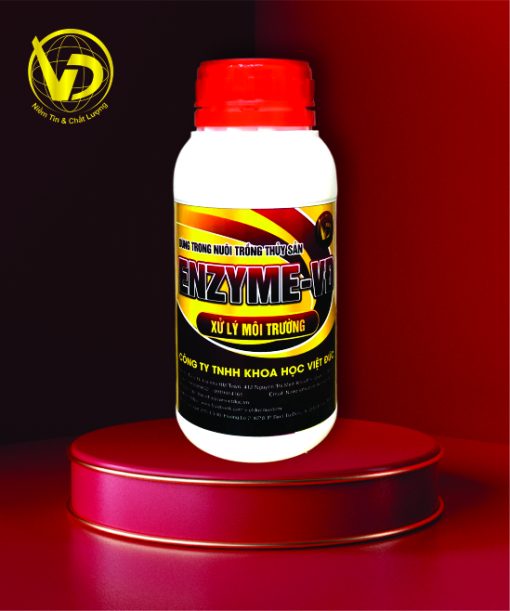 ENZYME - VĐ: Enzyme nước