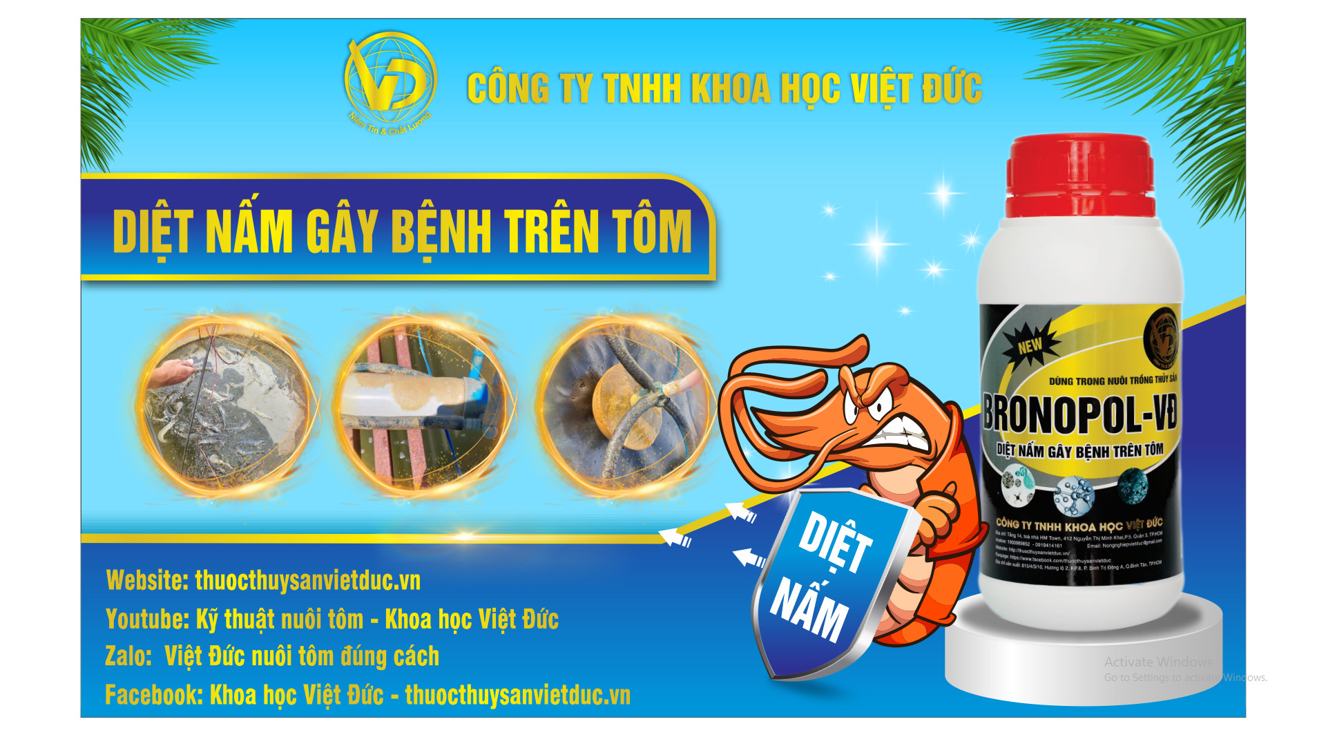 DIỆT NẤM ĐỒNG TIỀN