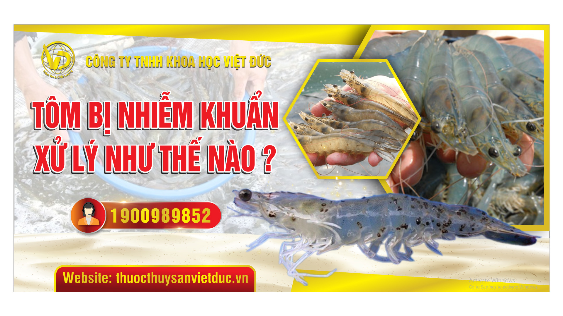 Nhóm Diệt Khuẩn