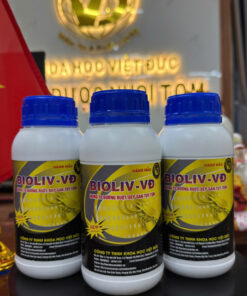 BIOLIV - VĐ: NONG TO ĐƯỜNG RUỘT, ĐẸP GAN TỤY TÔM