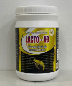 LACTO - VĐ: KÍCH THÍCH TÔM BẮT MỒI, NONG TO ĐƯỜNG RUỘT