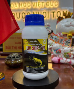 LIV SUP – VĐ New: BẢO VỆ GAN TỤY TÔM NUÔI