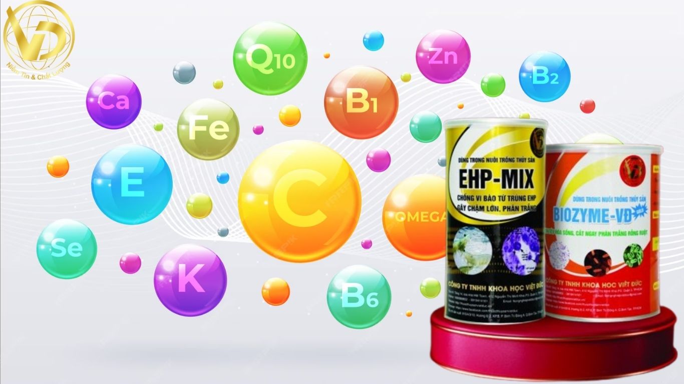 NHÓM VITAMIN - MEN TIÊU HÓA