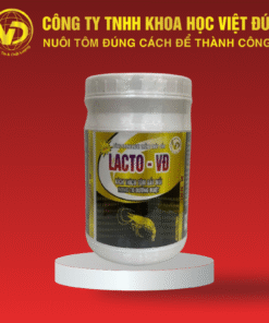 LACTO - VĐ: KÍCH THÍCH TÔM BẮT MỒI, NONG TO ĐƯỜNG RUỘT
