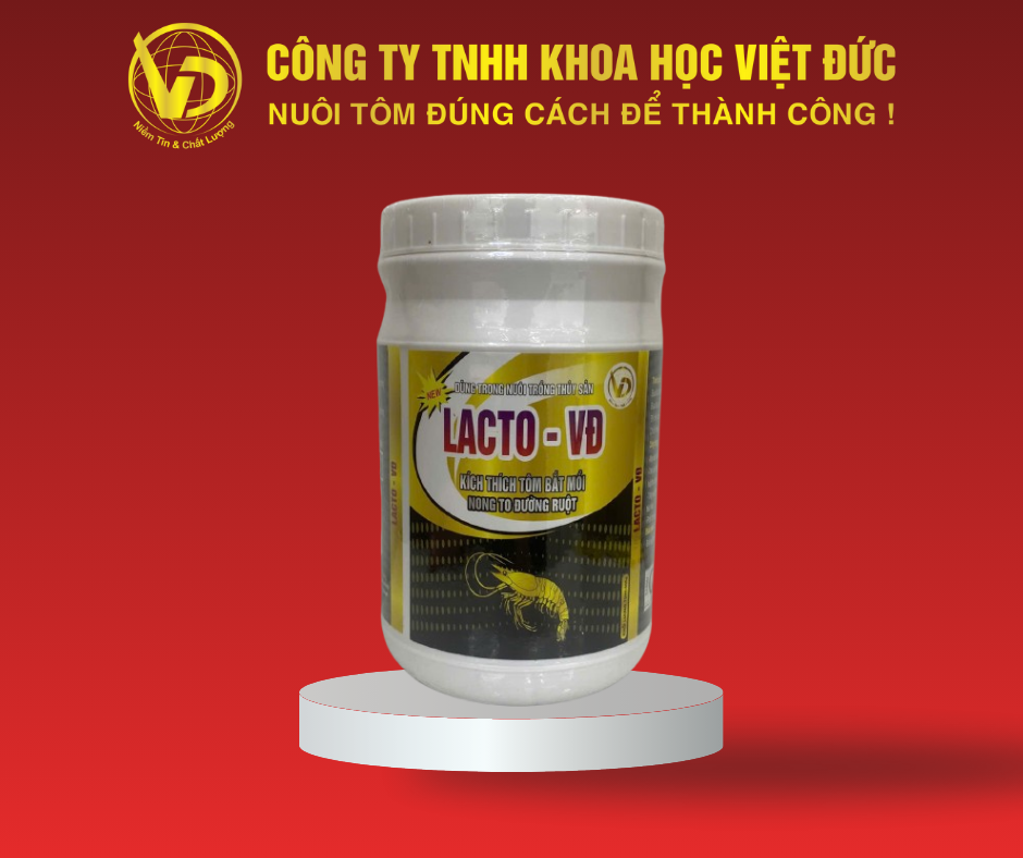 LACTO - VĐ: KÍCH THÍCH TÔM BẮT MỒI, NONG TO ĐƯỜNG RUỘT