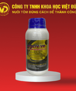 BIOLIV - VĐ: NONG TO ĐƯỜNG RUỘT, ĐẸP GAN TỤY TÔM