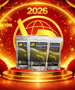 EZYM DROSS: XỬ LÝ ĐÁY AO ĐẤT